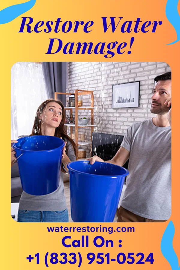 water restoration Priority Recovery Brothers Roanoke